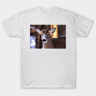 Bright eyes - White-tailed Deer T-Shirt
